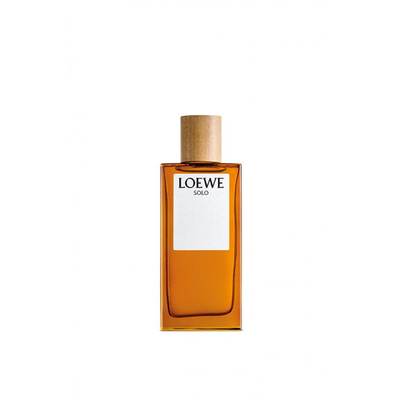 LOEWE Perfumes Solo 100 ml Hommes