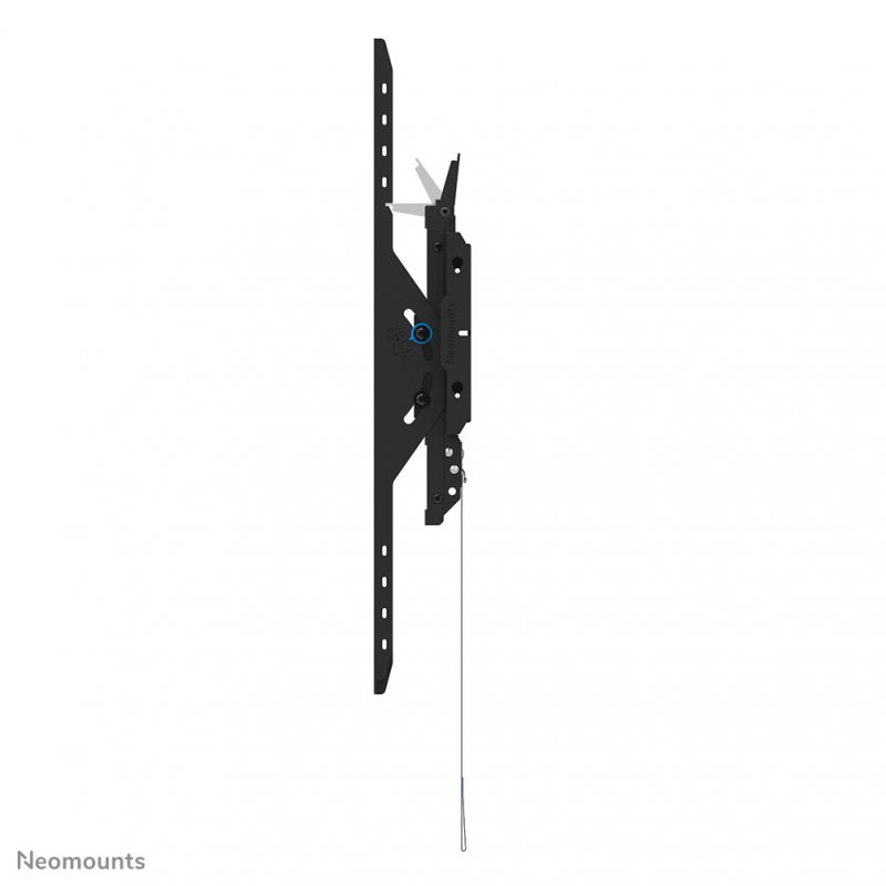 Dis Public Mount Neomounts WL35-750BL18