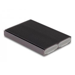 DeLOCK 42028 Boîtier de disques de stockage Enceinte ssd Noir, Gris M.2