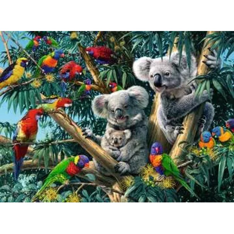 Ravensburger Puzzle 500 p - Koalas dans l'arbre
