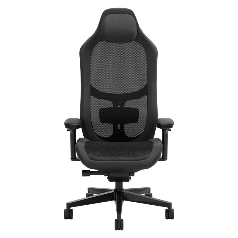Fauteuil ergonomique Fractal Design Refine Mesh (Noir)