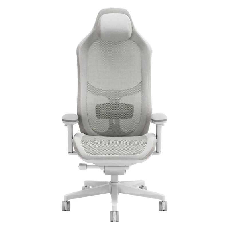 Fauteuil ergonomique Fractal Design Refine Mesh (Gris)
