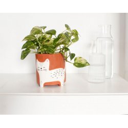 Winkee - Flower pot bowl - Flower pot cat - 13 cm