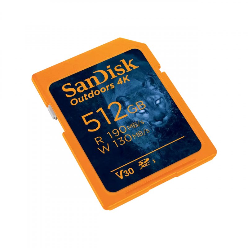 SanDisk SDSQXAO-256G-GN6ZK mémoire flash 256 Go SD