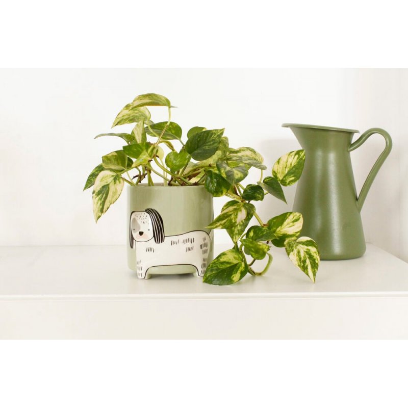 Winkee - Flower pot dog - Height: 40 cm, Diameter: 13 cm