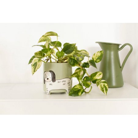 Winkee - Flower pot dog - Height: 40 cm, Diameter: 13 cm