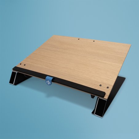 R-Go Tools Porte documents R-Go Read2Write, pour lire et écrire, ergonomique, avec repose-poignet en mousse souple,