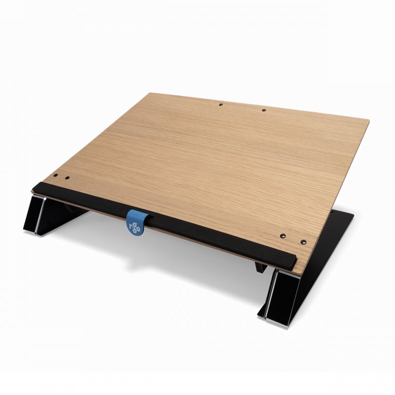 R-Go Tools Porte documents R-Go Read2Write, pour lire et écrire, ergonomique, avec repose-poignet en mousse souple,