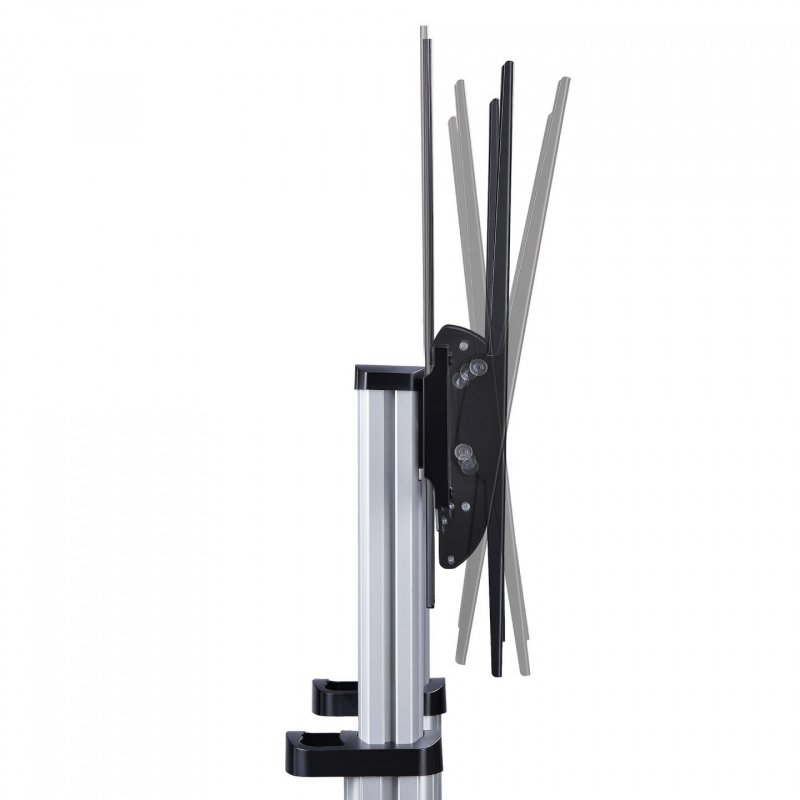 StarTech.com 1110C-MOBILE-TV-CART support pour téléviseur 2,54 m (100") Noir, Argent