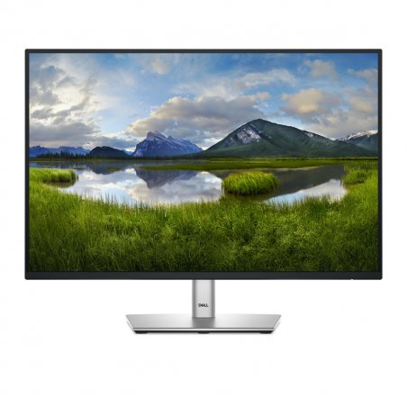 Ecran 24" Dell P2425