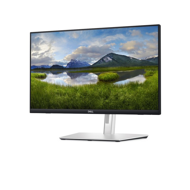 Dell 24" Touch Monitor - P2424HT