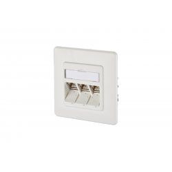 BTR NETCOM 130B12D31002-E prise de courant RJ-45 Blanc
