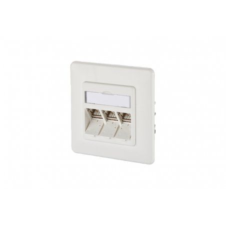 BTR NETCOM 130B12D31002-E prise de courant RJ-45 Blanc