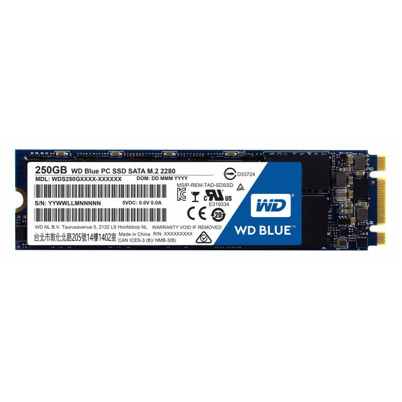 Western Digital Blue PC 250 Go M.2