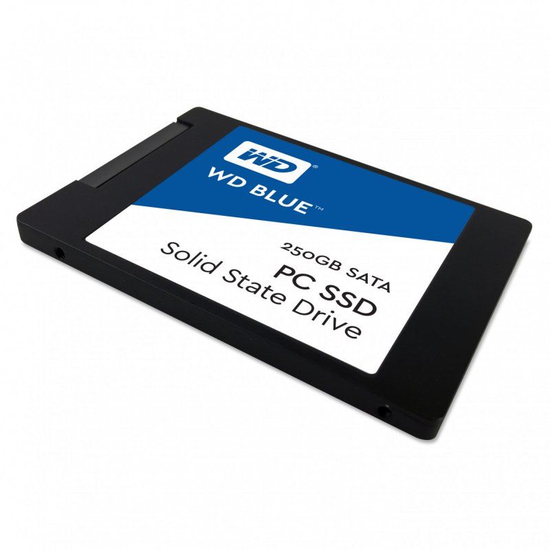 Western Digital Blue PC 250 Go 2.5" Série ATA III