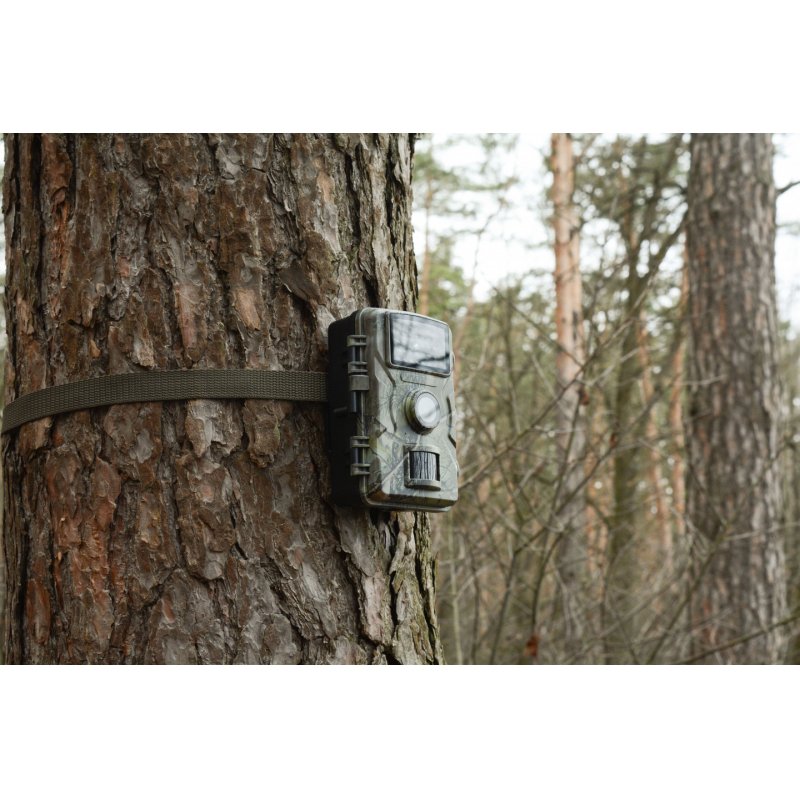 Technaxx TX-256 Indoor & outdoor 3840 x 2160 pixels Wall