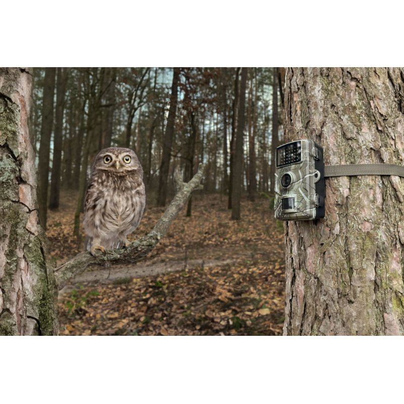 Technaxx TX-256 Indoor & outdoor 3840 x 2160 pixels Wall