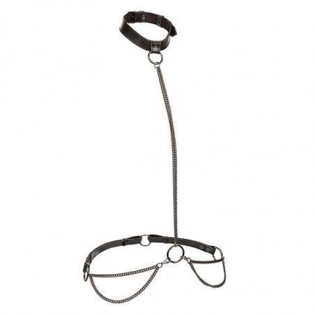 CALEXOTICS - EUPHORIA CHAIN HALTER COLLAR & LEASH