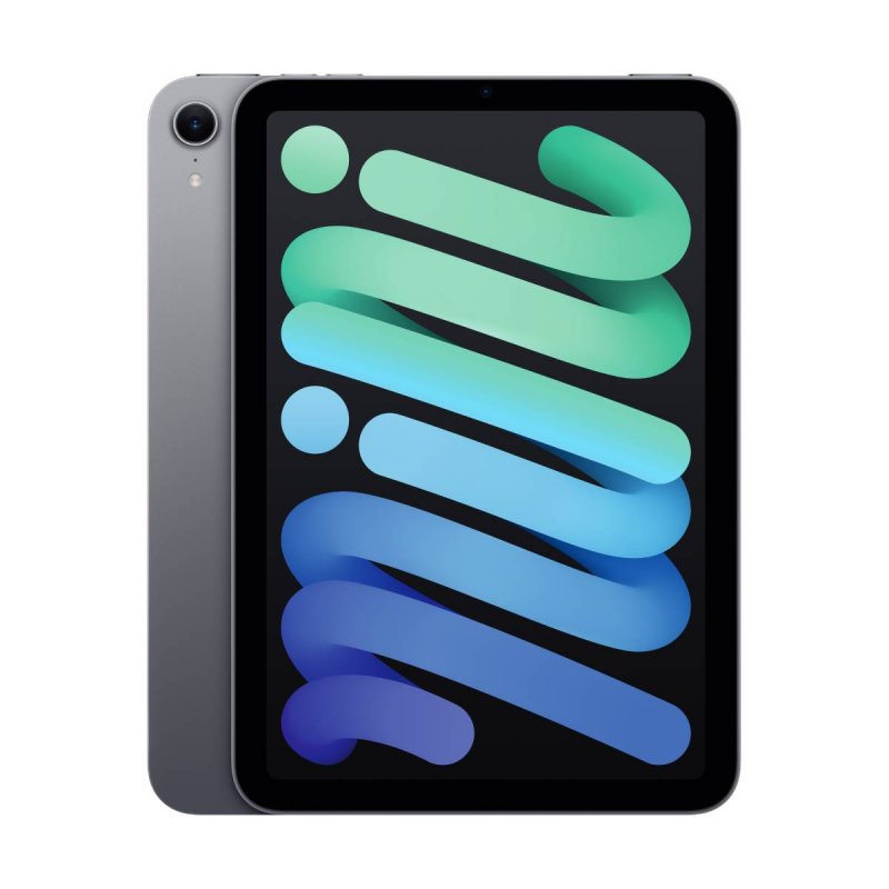 iPad Mini Wi-Fi 256GB Space Gray