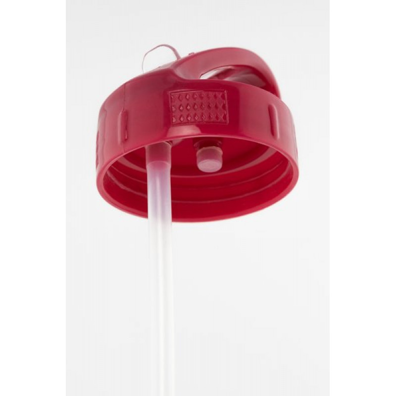 ASSASSIN'S CREED - Aluminium Drink Bottles 700 ml - Stencil