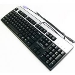 Keyboard PS/2 2-Tone US