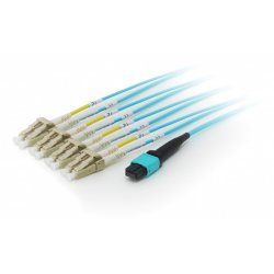 Equip MTP/MTP Trunk Fiber Optic Patch Cable, OM4, 5m