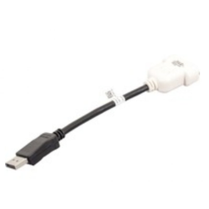 DELL DisplayPort/DVI-D Noir, Blanc