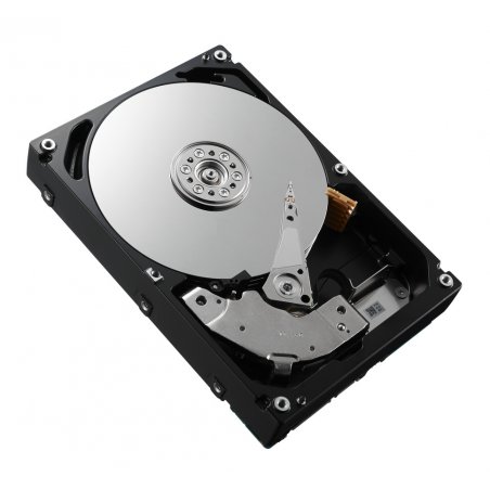 DELL W6J6V disque dur 300 Go 7200 tr/min 2.5" SAS
