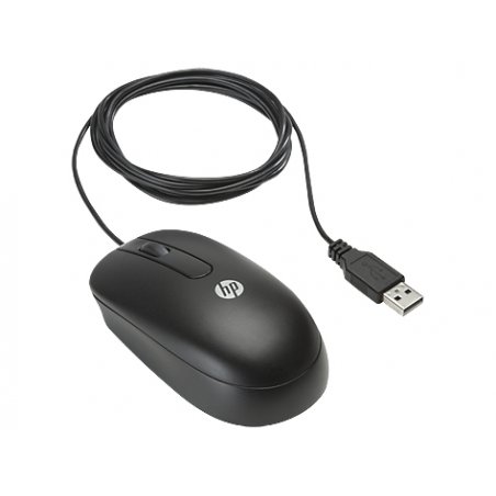 HP USB Optical Scroll mouse Office Ambidextrous USB Type-A 800 DPI