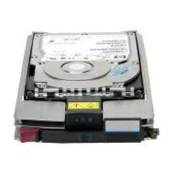 300GB HS DUAL PORT FC 10K HDD
