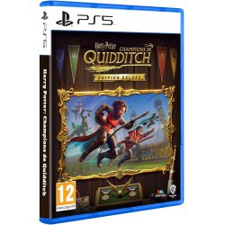 HARRY POTTER CHAMPIONS DE QUIDDITCH P5 VF