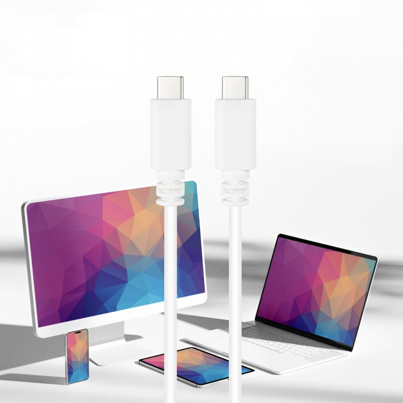 Câble Nanocable USB-C 2.0 M/M 1m (Blanc)