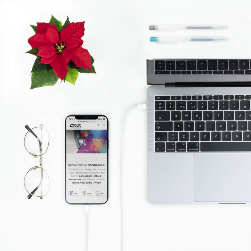 Câble Nanocable USB-C - Lightning M/M 1m (Blanc)