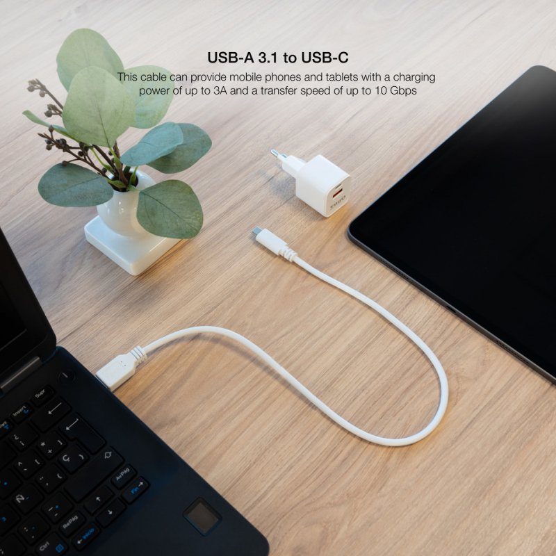 Câble Nanocable USB-A/C 3.1 M/M 2m (Blanc)