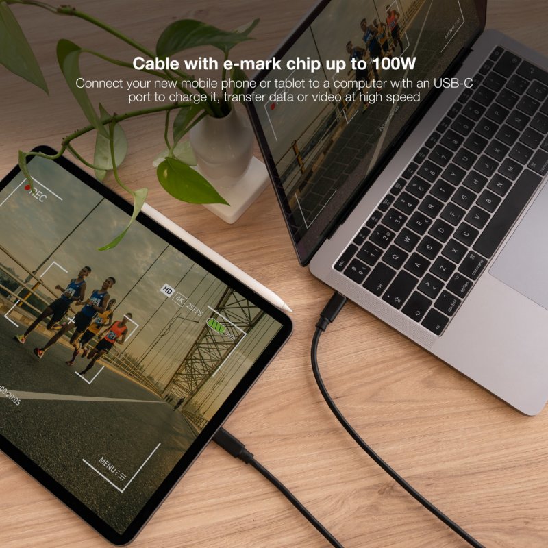 Câble Nanocable USB-C 3.2 M/M 2m 100W (Noir)