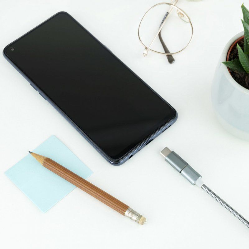 Nanocable 10.02.0011 changeur de genre de câble USB C Micro USB Gris