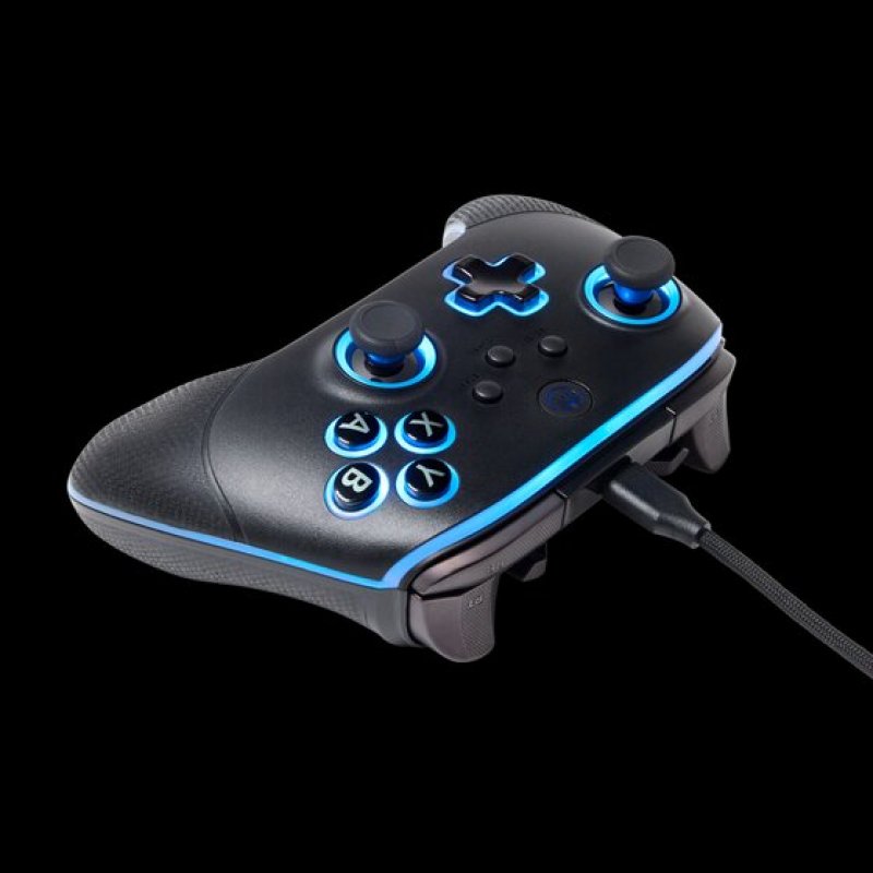 PowerA PCGP0382-01 accessoire de jeux vidéo Noir RF/USB Manette de jeu Analogique/Numérique PC