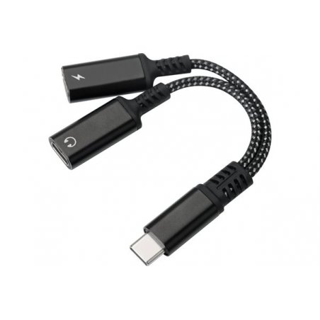 2 IN 1 USB-C adapter with power delivery 60W headset USB-C