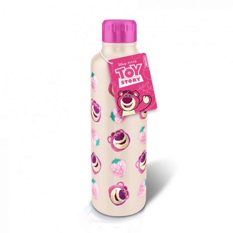 LOTSO - Bouteille d'Eau en Métal 500ml