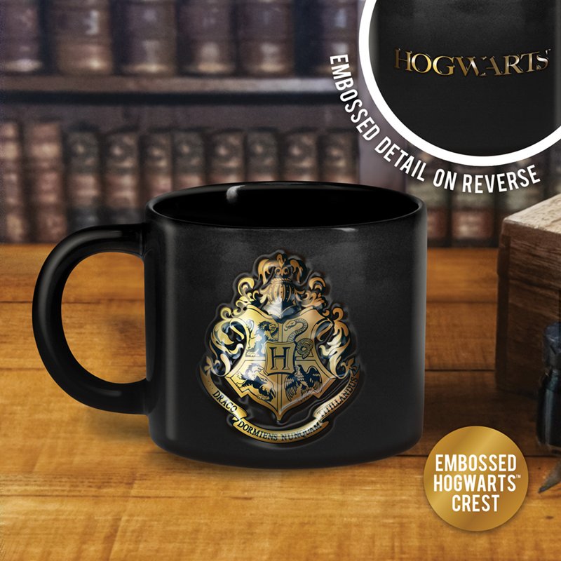 HARRY POTTER - Mug Gravé 400ml