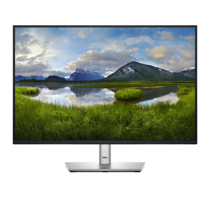 Ecran 24" Dell P2425E