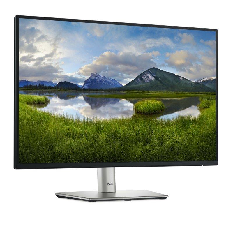 Ecran 24" Dell P2425E