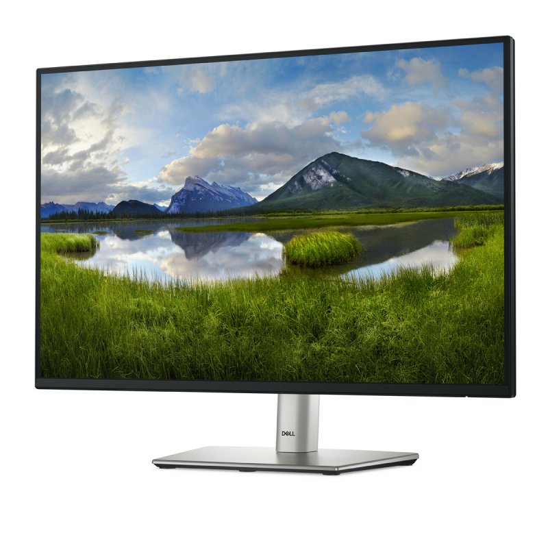 Ecran 24" Dell P2425E