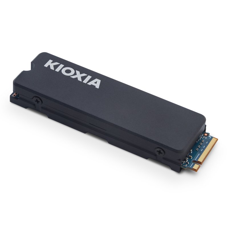 SSD M.2 (2280) Kioxia EXCERIA HeatSink NVMe 1TB