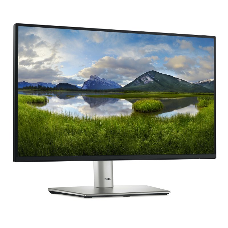 Ecran 22" Dell P2225H