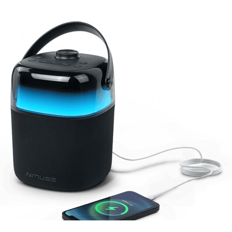 Enceinte Bluetooth Karaoké M530KA