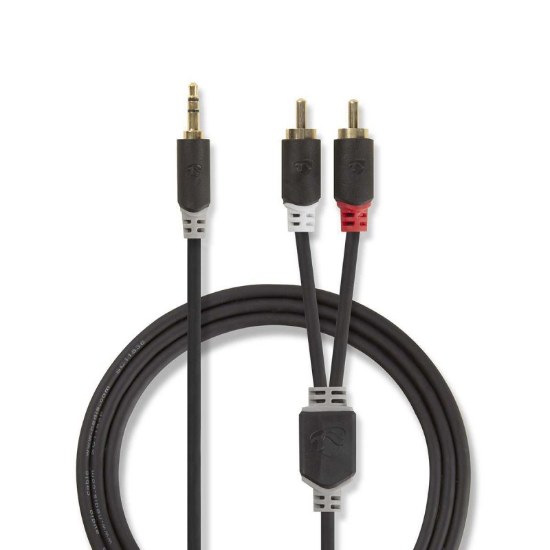 Nedis CABW22200AT100 audio cable 10 m 3.5mm 2 x RCA Anthracite