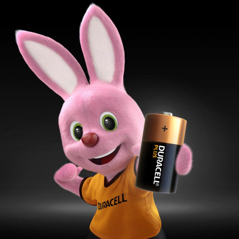 Duracell Plus C 2 pcs