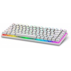 Alienware Pro Wireless Gaming Keyboard clavier Jouer USB RF Wireless Bluetooth Blanc