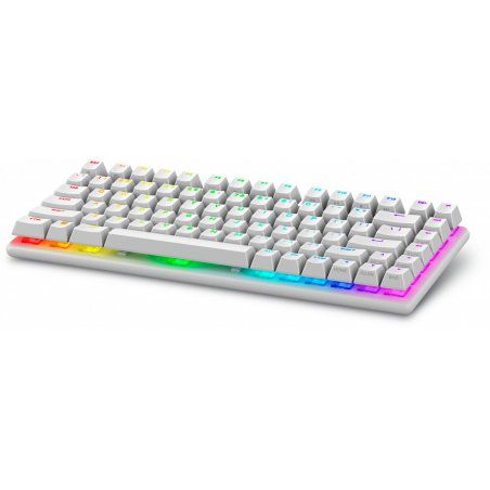 Alienware Pro Wireless Gaming keyboard USB RF Wireless Bluetooth White